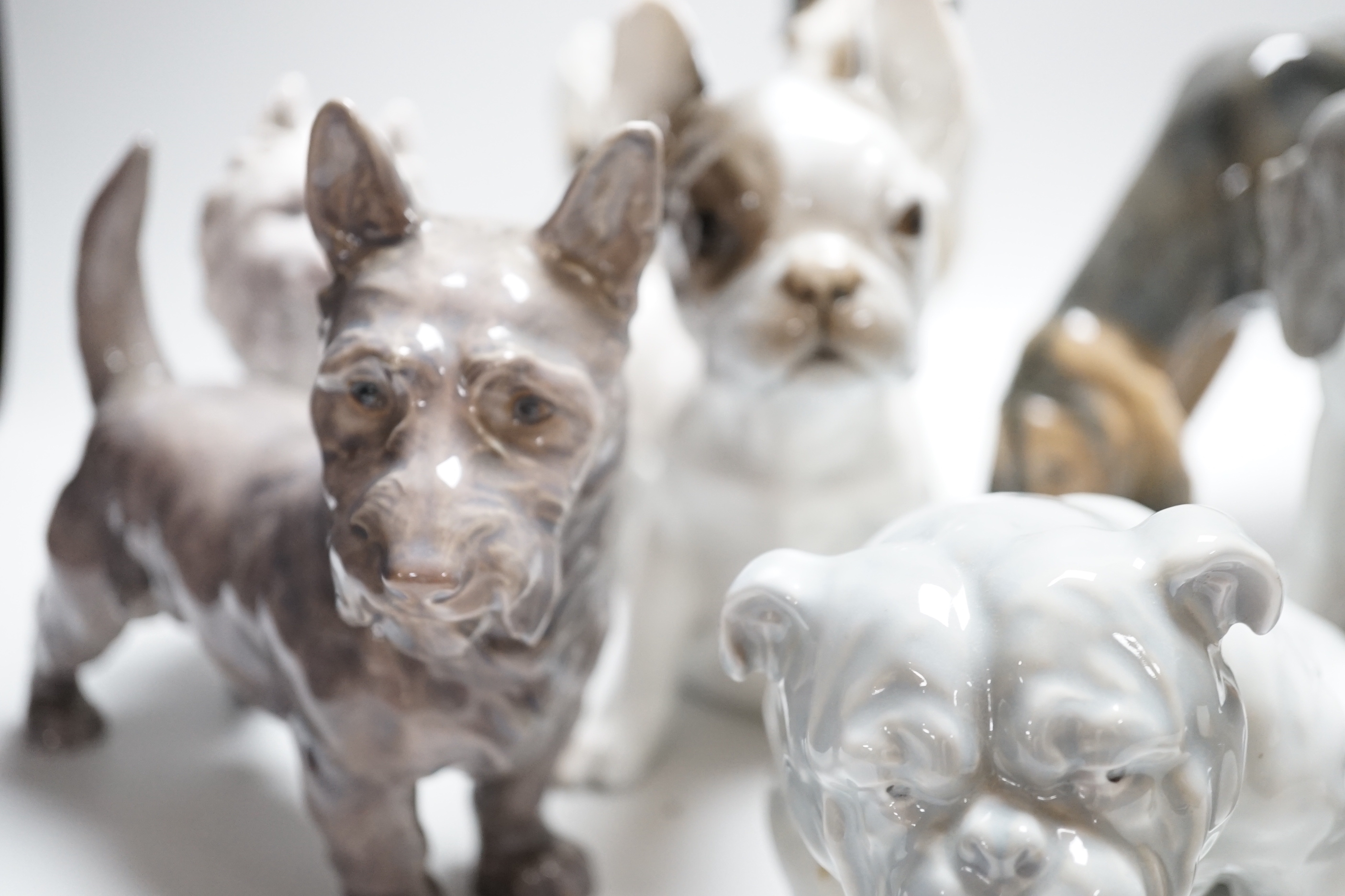 Nine models of dogs; Royal Copenhagen, B&G and Rosenthal etc including terriers, bulldogs, King Charles spaniel, etc, the largest 30cm wide